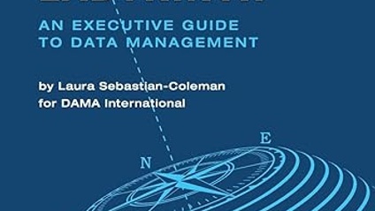 Product image for Navigating the Labyrinth: An Executive Guide to Data Management