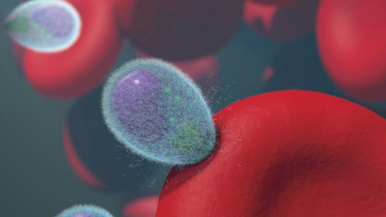 Product image for Bloodborne Pathogens