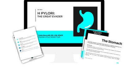 Product image for H pylori: the Great Evader