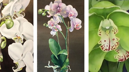 Product image for Exotic Orchids Bundle