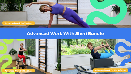 Product image for Advanced Work With Sheri