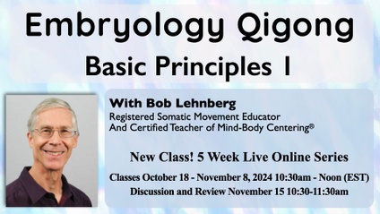 Product image for Embryology Qigong: Basic Principles 1