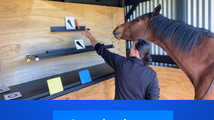 Product image for Introduction to Horse Reading - letters, colours