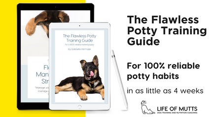 Product image for The Flawless Potty Training Guide