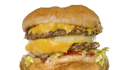 Product image for The Greatest Diet Disaster