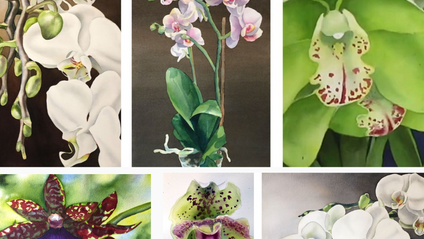 Product image for Exotic Orchids in Watercolor, Independent Study