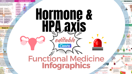 Product image for HORMONE & HPA axis Medical Infographics