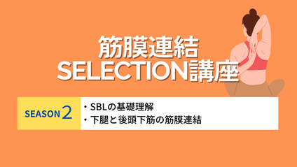 Product image for 《筋膜連結selection！！SEASON2》 超重要！！SBLとは？