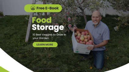 Product image for FREE - 10 Crops to Grow for Food Storage eBook