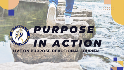 Product image for Purpose In Action