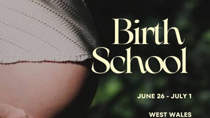 Product image for Birth Summer School