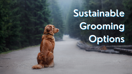 Product image for Sustainable Grooming Options
