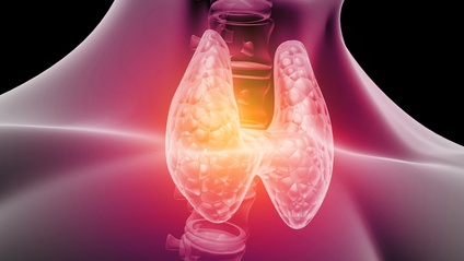 Product image for Thyroid Patterns:  How to Identify and Manage Them Clinically