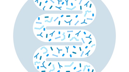 Product image for Bridging Course to Advanced Microbiome Manipulation & Early Life courses - 2025