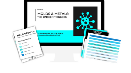 Product image for Molds & Metals: the Unseen Triggers