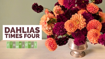 Product image for Flower Arranging Fridays: Red and Orange Dahlias