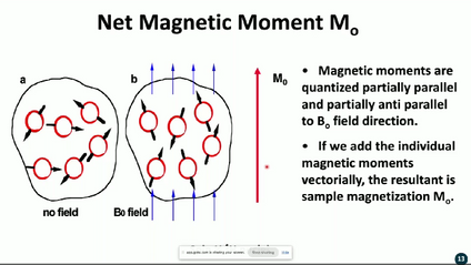 Product image for Magnetic Resonance and Magnetic Resonance Imaging of Fluids in Porous Media