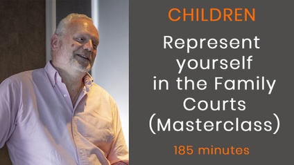 Product image for Represent Yourself in the Family Court MASTERCLASS
