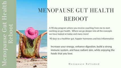 Product image for Menopause Gut Health 