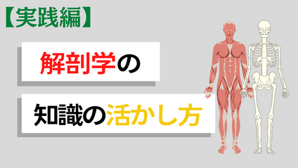 Product image for 【MEGUMI座談会《2022年に向けて今年ラスト勉強会！！》】