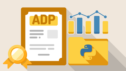 Product image for ADP 자격증 통계반 (Python)