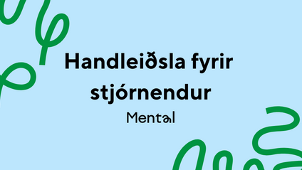 Product image for Stjórnendahandleiðsla