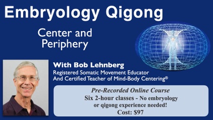 Product image for Qigong of Embryology: Center and Periphery
