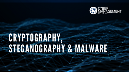 Product image for Cryptography, Steganography and Malware
