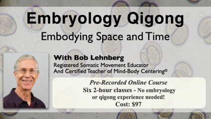 Product image for Qigong of Embryology: Embodying Space and Time