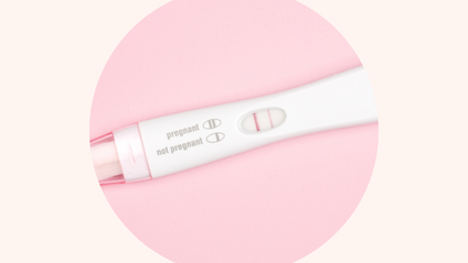 Product image for The Essential Pregnancy Bundle 
