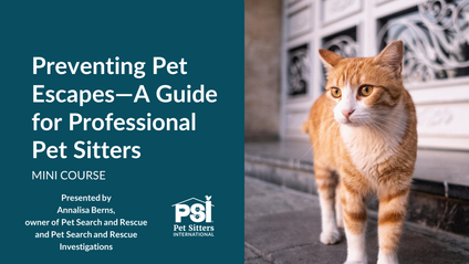 Product image for Mini Course: Preventing Pet Escapes—A Guide for Professional Pet Sitters