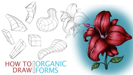 Product image for How to Draw with Organic Forms