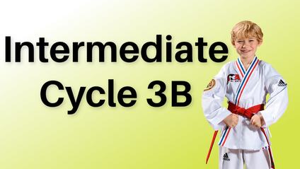 Product image for Intermediate Cycle 3B