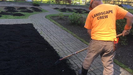 Product image for 35 landscape lessons from the field 