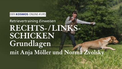 Product image for Retrievertraining EINWEISEN | Rechts- / Links-Schicken Grundlagen