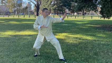 Product image for Practices and Movements -- Daily Exercises for Back Care
