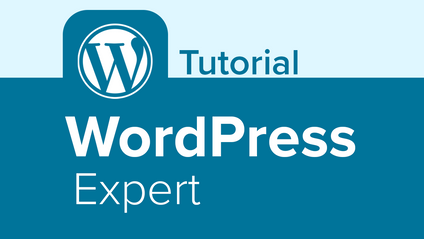 Product image for WordPress Expert
