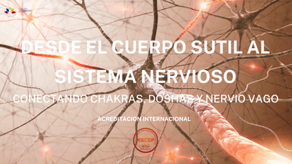 Product image for Desde el Cuerpo Sutil al Sistema Nervioso: conectando Chakras, Doshas y Nervio Vago - Sincronico - OCTUBRE 2025