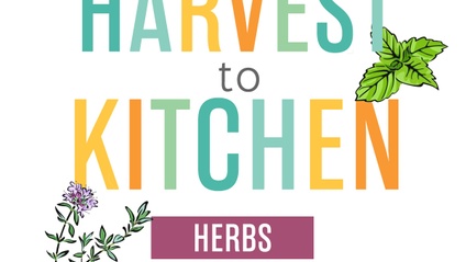 Product image for Harvest to Kitchen - Herbs