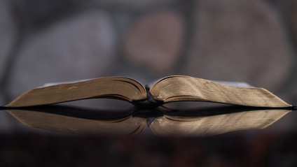 Product image for HOW TO STUDY THE BIBLE - An Ancillary Course