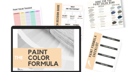 Product image for The Paint Color Formula