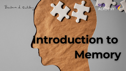 Product image for INTRODUCTION TO MEMORY