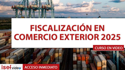 Product image for FISCALIZACIÓN EN COMERCIO EXTERIOR 2025