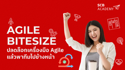 Product image for AGILE BITESIZE