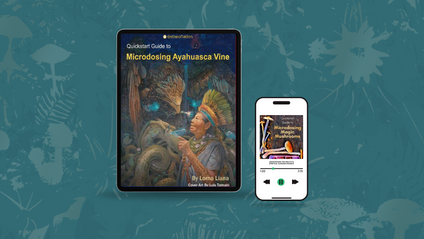Product image for Bundle - Microdosing for Health & Spiritual Guidance 