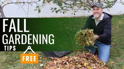 Product image for 4 Ideas to get your garden ready for next spring, this fall!