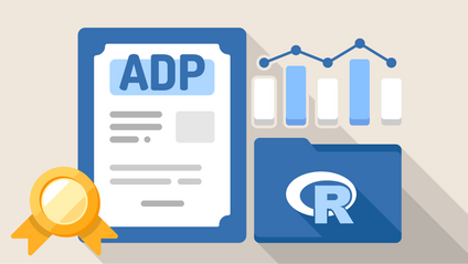 Product image for ADP 자격증 통계반 (R)