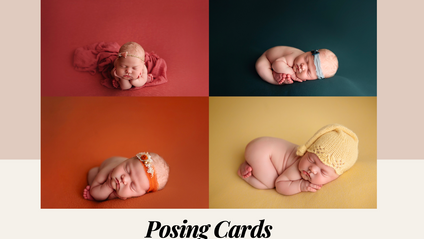Product image for Posing Cards
