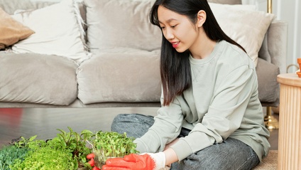 Product image for Microgreens Farming