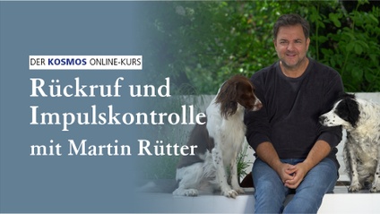 Product image for Rückruf und Impulskontrolle mit Martin Rütter